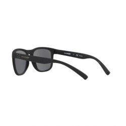 OCCHIALI DA SOLE ARNETTE